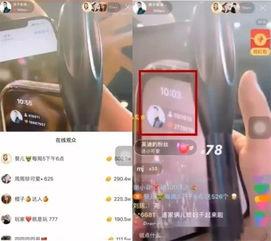 仙家主播爆料视频,视频内容深度解析