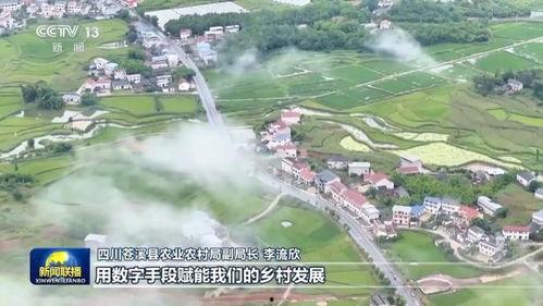 渠县城南乡新闻头条,乡村振兴战略下的新篇章