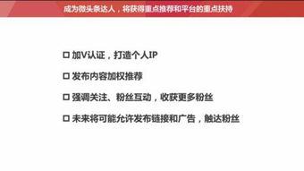 头条粉丝工作怎么样做,高效吸粉技巧全解析