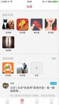 用苹果做头条怎么样,探索科技巨头的新动向与未来展望