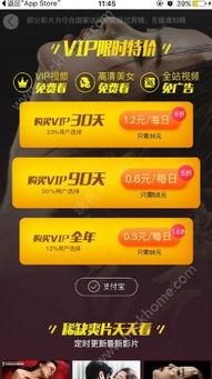 网红vip价值视频磁力,磁力视频背后的秘密解析